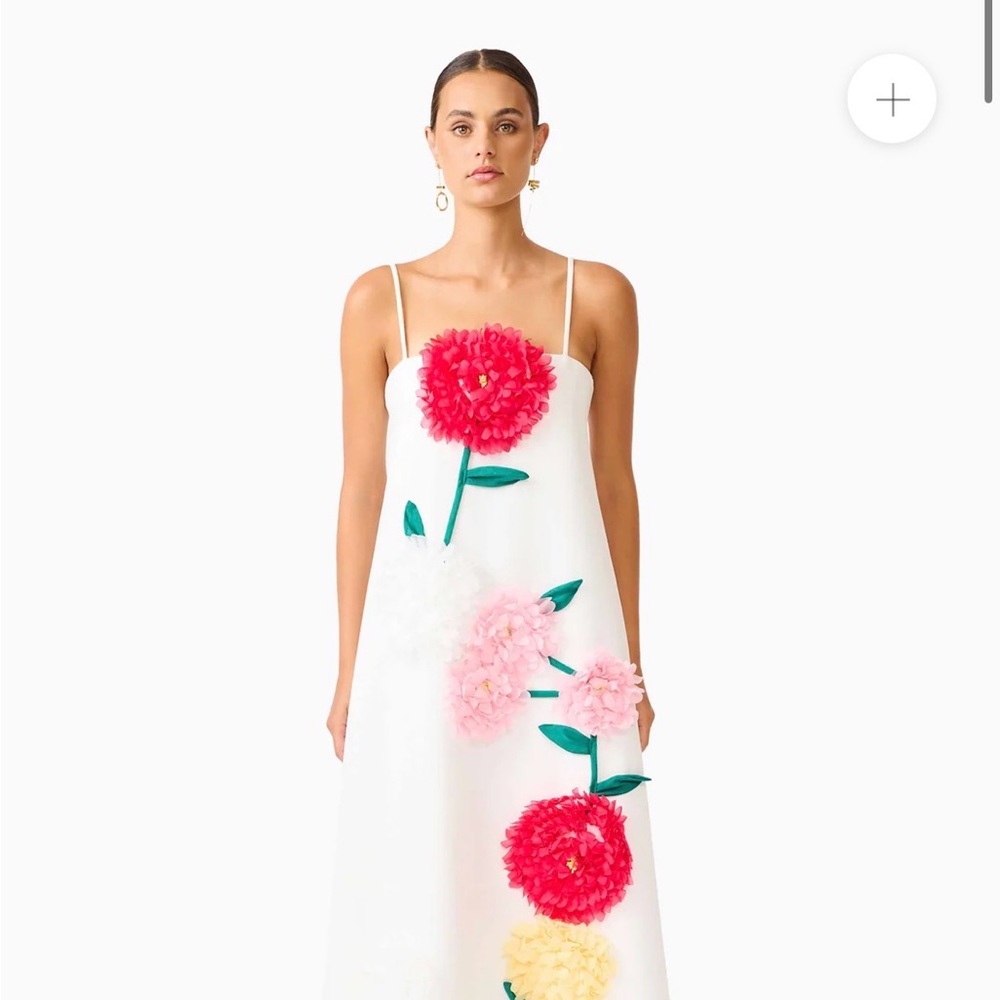 NWOT Elliatt Buttercup Embroidered Maxi Dress in White